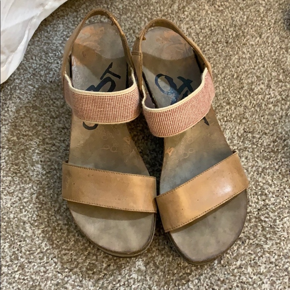 Bushnell wedge OTBT’s